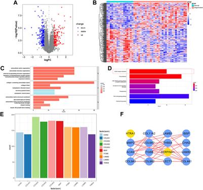 Integrated proteome sequencing, bulk RNA sequencing and single-cell RNA sequencing to identify potential biomarkers in different grades of intervertebral disc degeneration